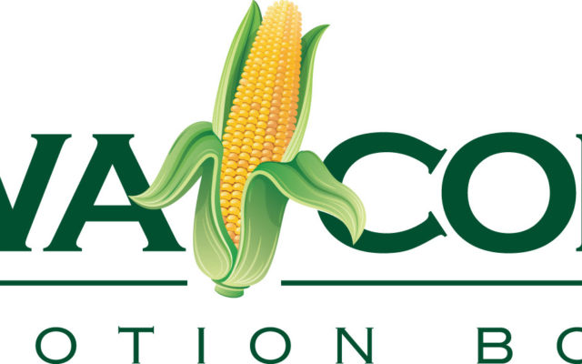 Farmers Encouraged to Vote in Corn Checkoff Director Elections on July 16