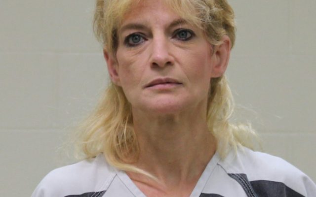 Mason City woman accused of stolen credit card shopping spree to plead guilty