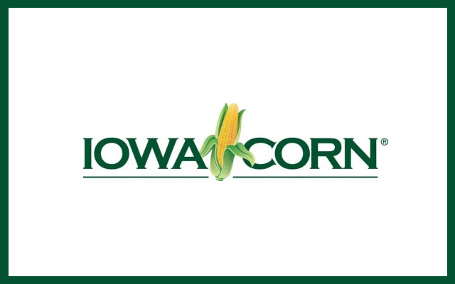 Iowa Corn Announces Future of Agriculture Scholarship Recipients