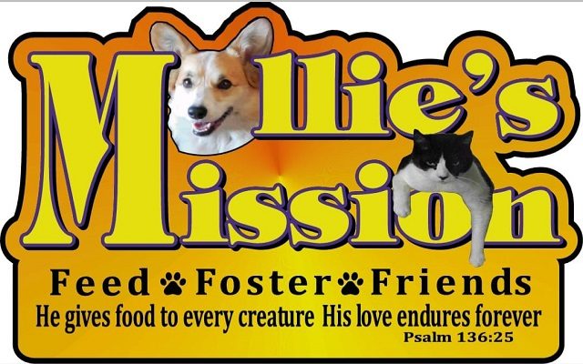 <h1 class="tribe-events-single-event-title">Mollies Mission’s Pet Food Bank</h1>
